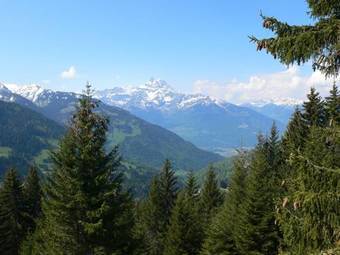 Apartment Les Arsets Alpe Des Chaux