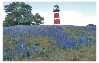 Holiday Home N�r Gangvide St�nga