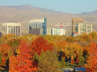 Hotel Holiday Inn Express And Suites Boise Airport