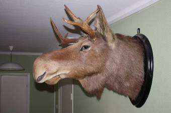 Hostal Hotel Kungsbacken