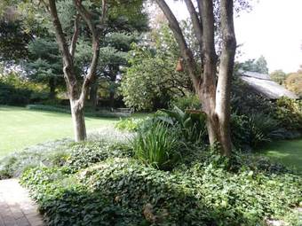 Bed & Breakfast Pin Oaks Bnb