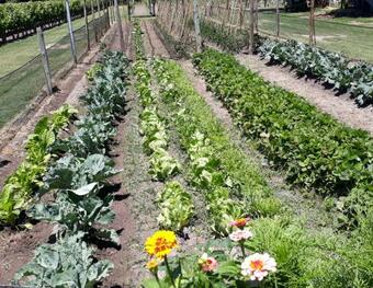 La Posada Del Jam�n