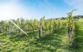 Awesome Home In Deutsch Sch�tzen W/