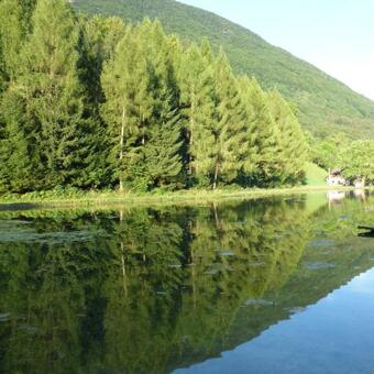 Bed & Breakfast Wieselm�hle Forellenhof