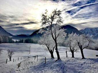 Apartamento Ferienwohnung Grundlsee, Willkommen In Mami's Ferienwohnung
