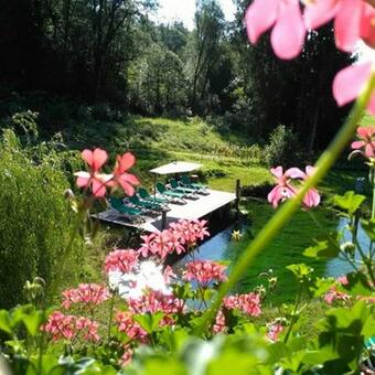 Bed & Breakfast Chalet Le Dorf