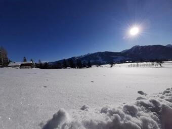 Apartamento Appartement Felix By Schladmingurlaub