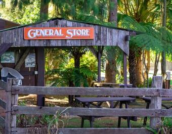 Dorrigo Mountain Holiday Park