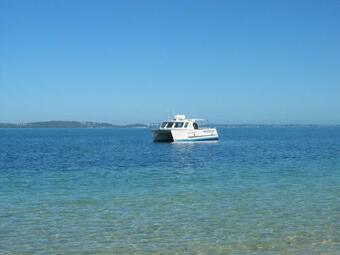 Pet Friendly - Jade Gardens