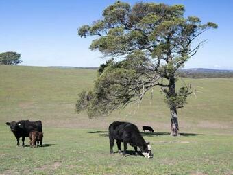 Somerton Ridge - The Perfect Rural Retreat