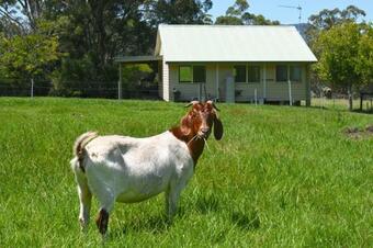 Villa The Heavens Mountain Escape