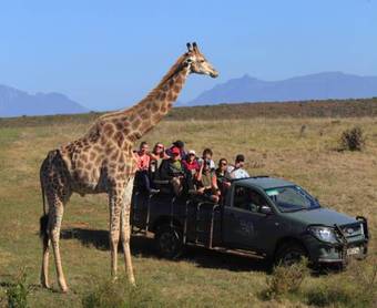 Garden Route Game Lodge