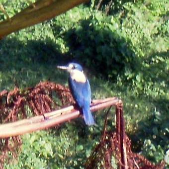 Dave Parker Eco Lodge