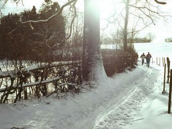 Comfortable Holiday Home Near Forest In Macon