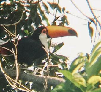 Hostal Pousada Cost�o Do Sol