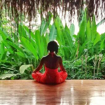 Hotel Jungle Lodge At Wild Sun Rescue Center