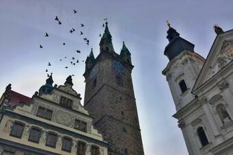 Bed & Breakfast Penzion Pod ?ernou V??�