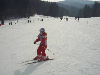 Hostal Pensiunea Nicodora