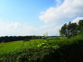 Apartamento Clausberg Ferienwohnungen