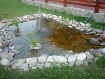 Hostal Pensiunea Perla Muresului