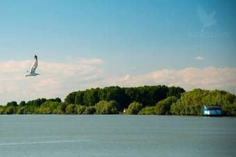 Hotel Plutitor Kingfisher