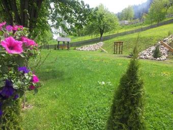 Hostal Pensiunea Vranis