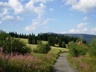 Aparthotel Apartmany Firn