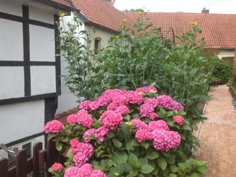 Apartamento Appartementanlage Tecklenburger Altstadt