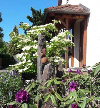 Fremdenzimmer Familie F�rster