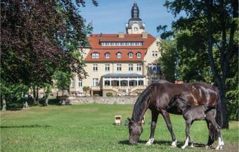 Stunning Home In Kuhlen Wendorf With Sauna, Wifi And 5 Bedrooms