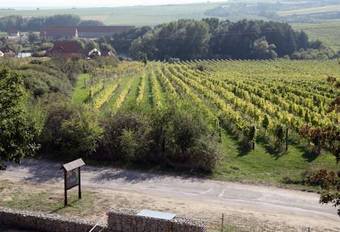 Hotel Vinice Hnanice