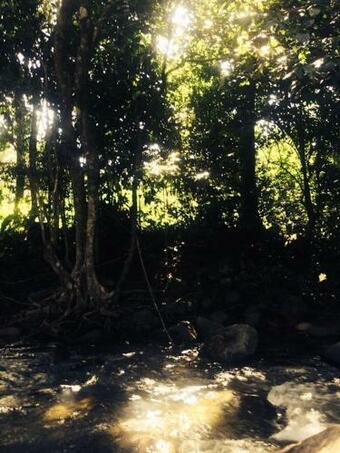 Kootney Resorts