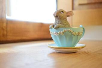 Vuelta Abajo Un Lujo A Tu Alcance En Cartes