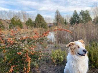 Casa Rural El Paraiso II