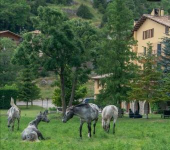 Hotel Hostal Cal Francisc�