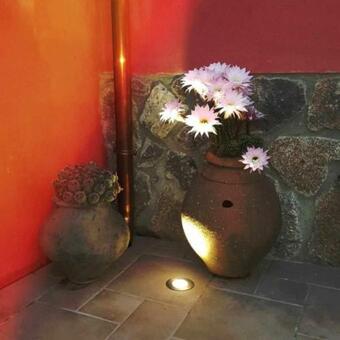 Casa Rural Rojo Del Tietar