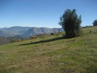 Apartamento Bra�a Vigidel Senda Del Oso