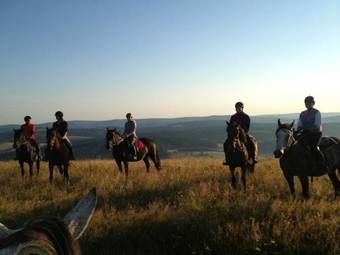 Agroturismo Forta Nie Tylko Stadnina