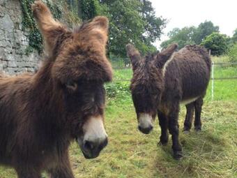 G�te Chanoz-ch�tenay, 3 Pi�ces, 5 Personnes - Fr-1-493-111