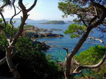 La Grande Augui�re