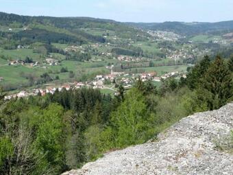 Chalet Le Syndicat, 3 Pi�ces, 4 Personnes - Fr-1-589-155