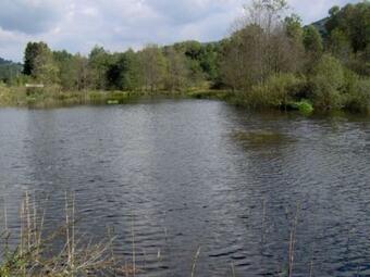 Chalet Le Syndicat, 3 Pi�ces, 4 Personnes - Fr-1-589-166