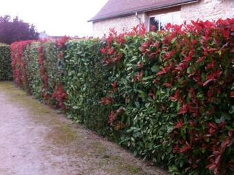 G�te Louchy-montfand, 3 Pi�ces, 4 Personnes - Fr-1-489-178