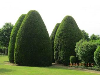 G�te Lurcy-l�vis, 2 Pi�ces, 3 Personnes - Fr-1-489-124