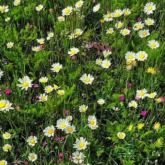 Bed & Breakfast G�te Et Chambre D'h�tes � La Ferme