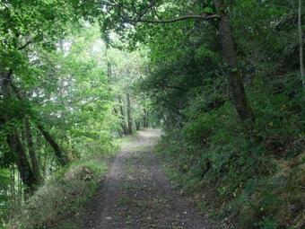 G�te Montbrison, 4 Pi�ces, 6 Personnes - Fr-1-496-157