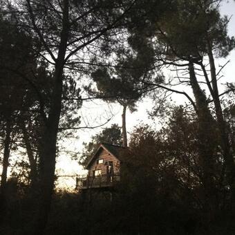 Bed & Breakfast Bretagne En Cabane