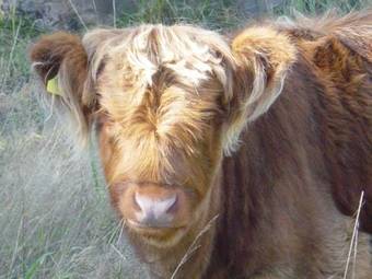 Hostal Kennedy Point Vineyard Guest House