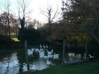 House Gite 2 Personnes Le P'tit Parigny...