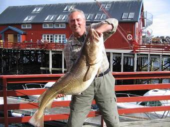 Bed & Breakfast A Brygge - Restaurant Lofoten
